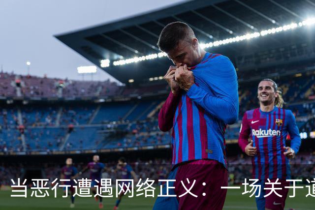 当恶行遭遇网络正义：一场关于道德的戏剧